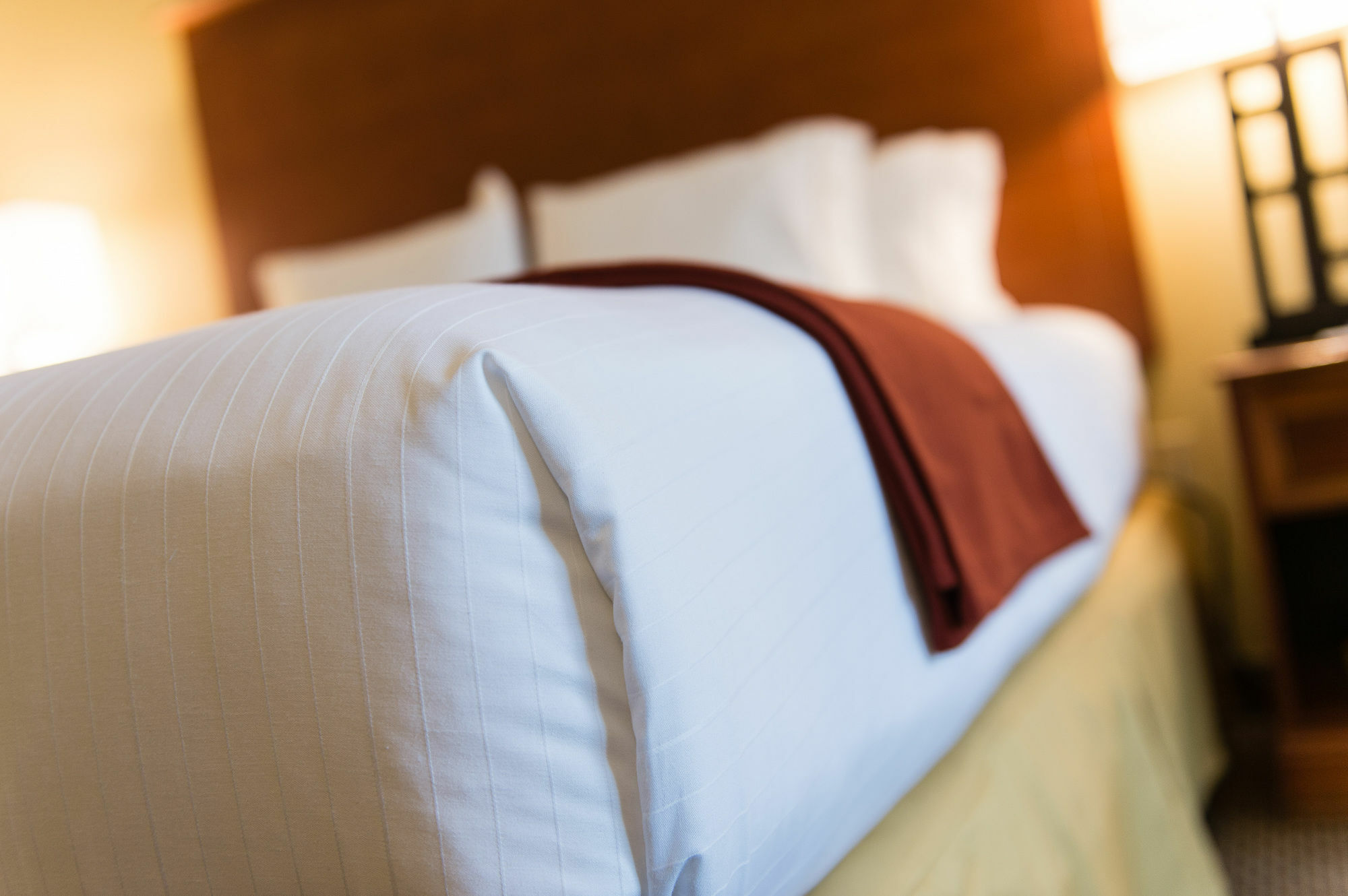 Holiday Inn Express & Suites Columbia-I-26 @ Harbison Blvd By Ihg ภายนอก รูปภาพ